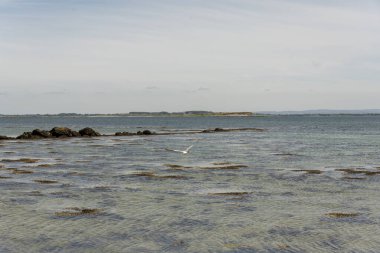 Gallway İrlanda 'daki beyaz kumsal