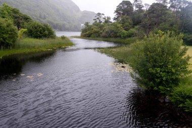 Blarney Kalesi etkileyici bir ortaçağ İrlanda kalesidir.