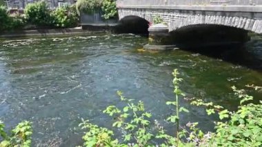 Nehirli tipik İrlanda manzarası