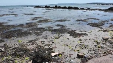 Gallway İrlanda 'daki beyaz kumsal