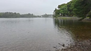 Blarney Kalesi etkileyici bir ortaçağ İrlanda kalesidir.