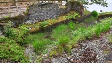 Blarney Kalesi etkileyici bir ortaçağ İrlanda kalesidir.