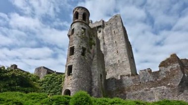 St. Finbar Katedrali Cork 'ta bir Anglikan Hristiyan binasıdır.