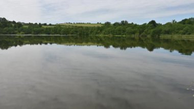 İrlanda 'da nilüfer göleti