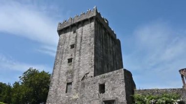 St. Finbar Katedrali Cork 'ta bir Anglikan Hristiyan binasıdır.
