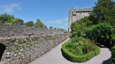 St. Finbar Katedrali Cork 'ta bir Anglikan Hristiyan binasıdır.