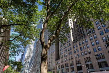 New York 'un gökdelenleri, modern bir tasarım ve dikkate değer bir yükseklikle karakterize edilen büyük etkiye sahip dikey mimari yapılardır.