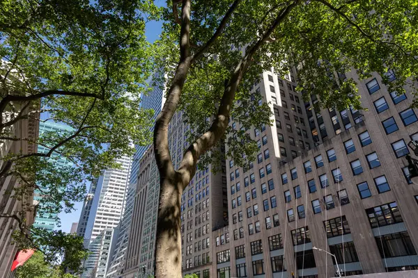 New York 'un gökdelenleri, modern bir tasarım ve dikkate değer bir yükseklikle karakterize edilen büyük etkiye sahip dikey mimari yapılardır.