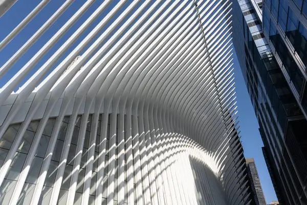 New York 'un gökdelenleri, modern bir tasarım ve dikkate değer bir yükseklikle karakterize edilen büyük etkiye sahip dikey mimari yapılardır.