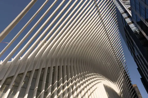 New York 'un gökdelenleri, modern bir tasarım ve dikkate değer bir yükseklikle karakterize edilen büyük etkiye sahip dikey mimari yapılardır.