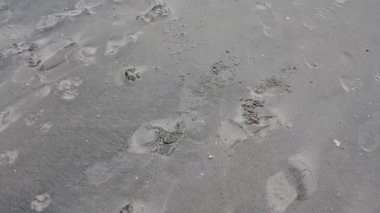 Brooklyn Köprüsü dünyanın en ikonik mimari çalışmalarından biridir.