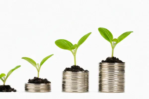 Üstünde büyüyen küçük bir bitki olan bozuk para yığını. Finansal büyüme, yatırım, tasarruf, sürdürülebilirlik ve çevre dostu ekonomiyi temsil eden kavramsal imaj. Finans, bankacılık, yeşil ekonomi ve iş içeriğinde kullanım için ideal