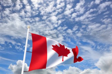 Bulut hesaplamasını, yapay zekayı, veri ağlarını ve otomasyonu temsil eden kavramsal görüntü. Teknoloji, yenilik, yapay zeka sistemleri ve akıllı veri yönetim temaları için gelecekteki dijital arkaplan ideali. İş sunumunda kullanılabilir