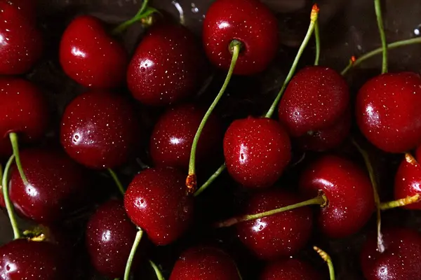 Beyaz ya da renkli arka planlarda izole edilmiş taze kırmızı kirazlar. Sulu yaz meyveleri tazeliği, sağlığı ve doğal tatlılığı simgeler.