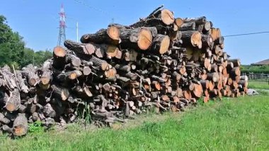 Kış için odun yığınları yığılmış, yakıt olarak kullanılmaya hazır. Kırsal ve ev ortamları ısıtma ve kırsal yaşamla ilgilidir.