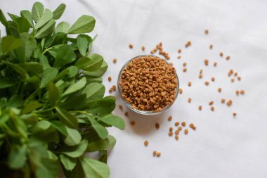 Bir kasede ve arka planda Methi veya Çemen otu tohumları vardır. Kase üzerindeki tohumlara odaklan..