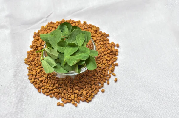 Close up of Indian region cuisine herb fenugreek leaves and seeds as food,herb,health concept background in white background. Indian food, masala and ayurveda cocept.