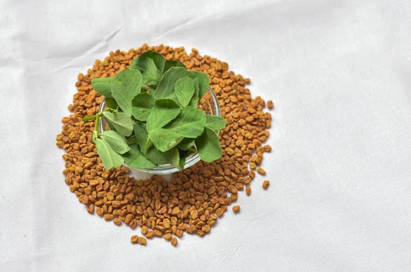 Close Indian Region Cuisine Herb Fenugreek Leaves Seeds Food Herb Fotos De Stock