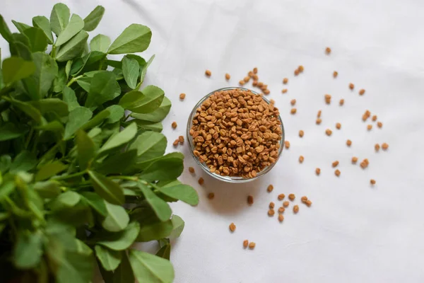 Methi Fenugreek Seeds Bowl Background Methi Leaves Selective Focus Seeds Fotografias De Stock Royalty-Free
