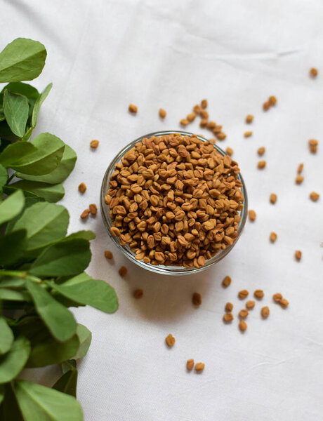 Семена мети или пажитника в миске и на заднем плане являются листьями мети. Селективное фокусирование на семенах на чаше. Вертикальное изображение.