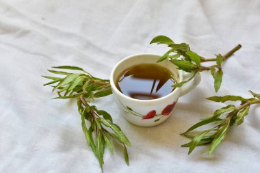 Hindistan, Sri Lanka ve Bangladeş 'te bitkisel bitkiler Hygrophila Auriculata veya Ikiriya veya kulekhara ayurvedic otlar. Aneamia ya da alyuvar eksikliği için bitkisel bir ilaç. Meyve suyuna odaklan..