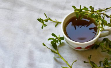 Beyaz arka planda Brahmi veya Bacopa monnieri 'den şifalı bitkisel çay. Çay ve fincana odaklı yüksek açılı bir çekim..