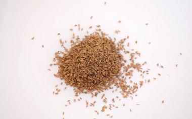 Ajwain Tohumları ya da Ajowan kopyalama uzayı ile Beyaz Arkaplanda izole edildi. Thymol Tohumları ya da Dikey Yönlendirmedeki Ajowan Caraway olarak da bilinir.