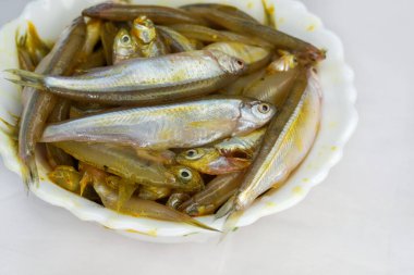 Erimiş balık, beyaz arka planda beyaz bir kasede taze çiğ balık. Bir kase küçük balık, kızartmadan önce, seçici odak, üst görüş.