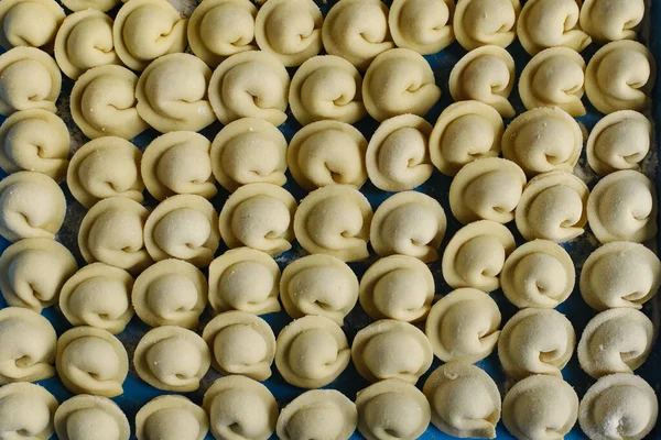 Närbild Många Handgjorda Dumplings Bricka Frysen — Stockfoto