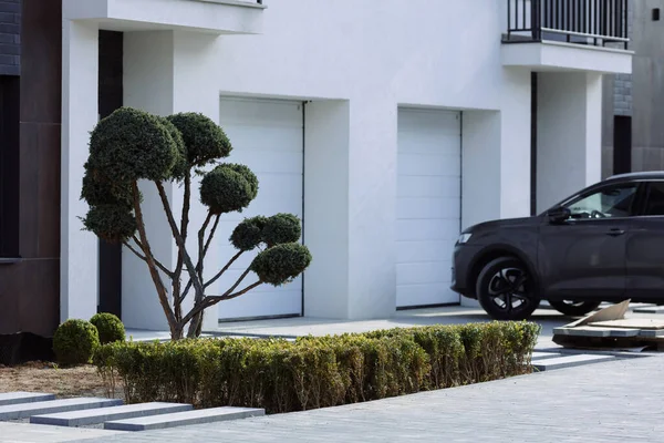 Kulübenin yanındaki modern peyzaj tasarımı. Yeşil çalılar diktim..