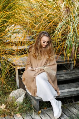 Beautiful girl in the autumn park between yellow bushes