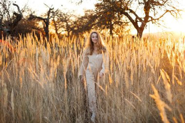 A gorgeous woman in an autumn field illuminated by the warm sun of an evening sunset. Golden ears of corn. Autumn