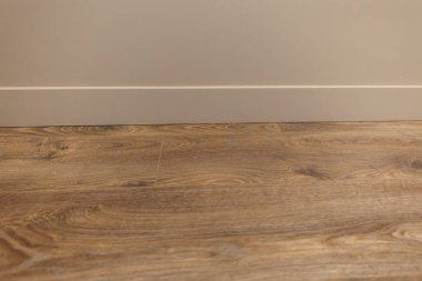 Line of junction of laminate and plinth. Apartment interior.