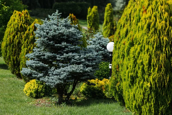 Landscape design in a botanical garden