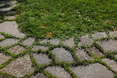 Parktaki taş patika.