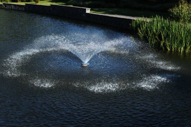 Fountain in landscape design in the park lake