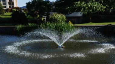 Fountain in landscape design in the park lake