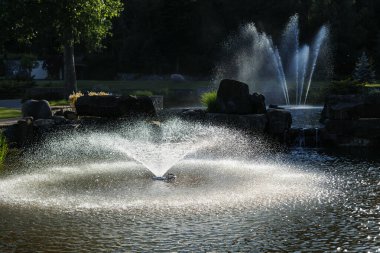 Fountain in landscape design in the park lake