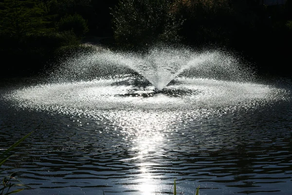 Fountain Lake Landscape Design Fotos de stock libres de derechos