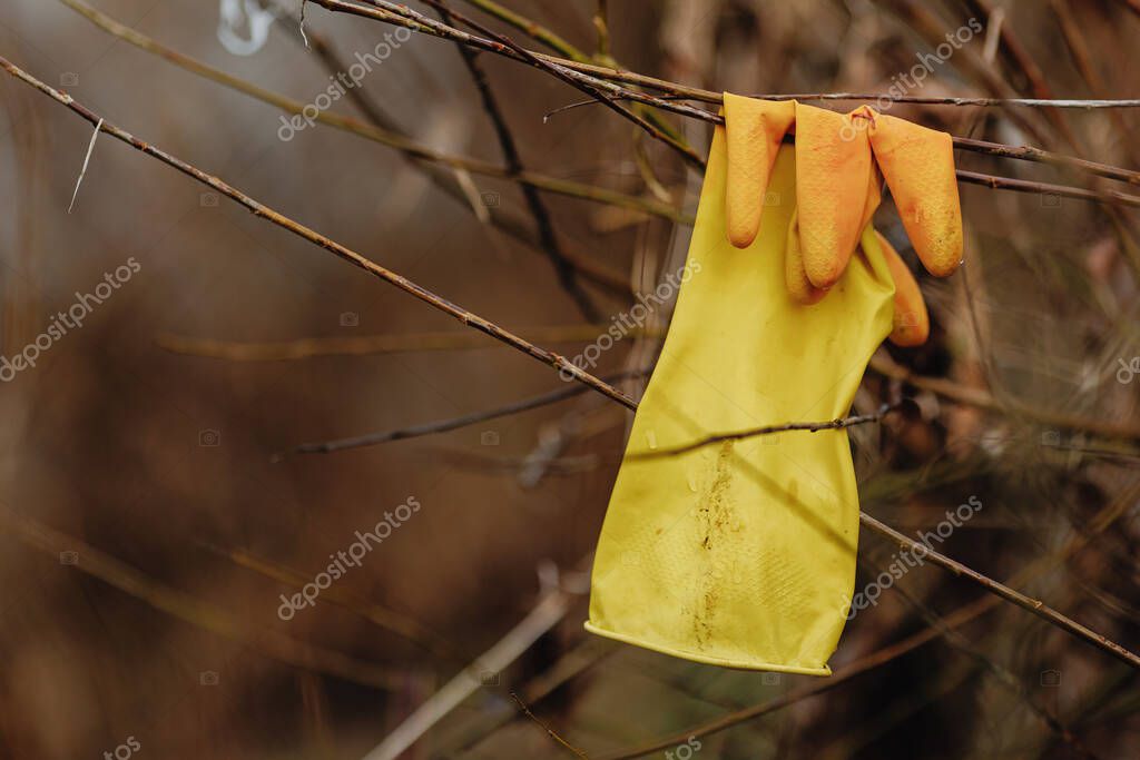 A yellow rubber glove after a flood on a tree branch. Environmental