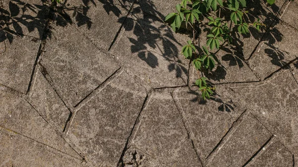 三角形のデザイナーコンクリートファサードの質感 — ストック写真