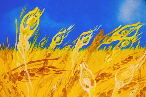乌克兰小麦纹理和黄色蓝旗 高质量的照片 图库图片