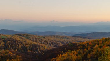 Şafak vakti dağlarda bir sonbahar ormanının panoramik görüntüsü, mavi bir gökyüzü ve ince bir sabah sisi..