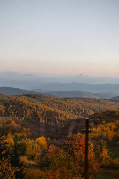 Panorama Vertical Del Sereno Bosque Otoñal Contra Cielo Azul Emana —  Fotos de Stock