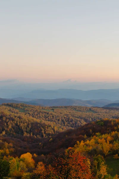Вертикальная Панорама Безмятежного Осеннего Леса Фоне Голубого Неба Источает Спокойствие — стоковое фото