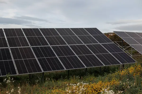 A sustainable energy farm scene with solar panels mounted on a sturdy metal framework in the sunlight.