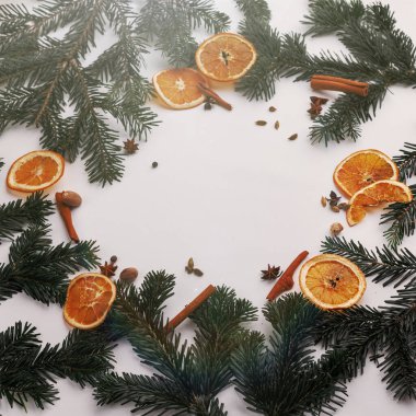 Noel ağacı, kurutulmuş portakallar, tarçın, kakule ve yıldız anason 'u dairesel bir gösterimle kucaklayın.