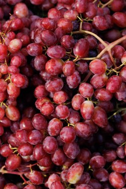 Olgun pembe üzümlerden oluşan yüksek detaylı bir yakın plan, pürüzsüz dokusunu, doğal parıltısını ve zengin üzüm bağı renklerini vurguluyor.