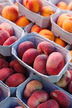 Sayısız olgun şeftali, donut şeftalisi olarak da bilinir, kağıt tepsilerde güzelce paketlenmiş, taze dokularını, tatlı aromalarını ve doğal renklerini sergiliyorlar.