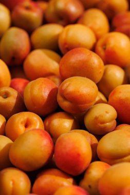 Yakın planda sayısız olgun kayısı, zengin renklerini ve leziz dokularını ön plana çıkarıyor.